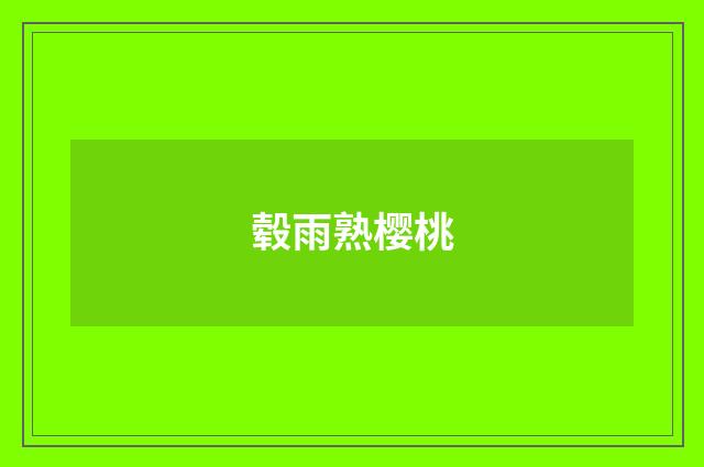 毂雨熟樱桃