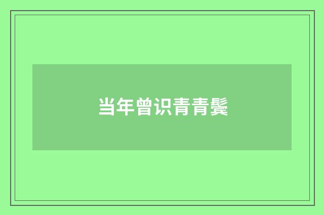 当年曾识青青鬓