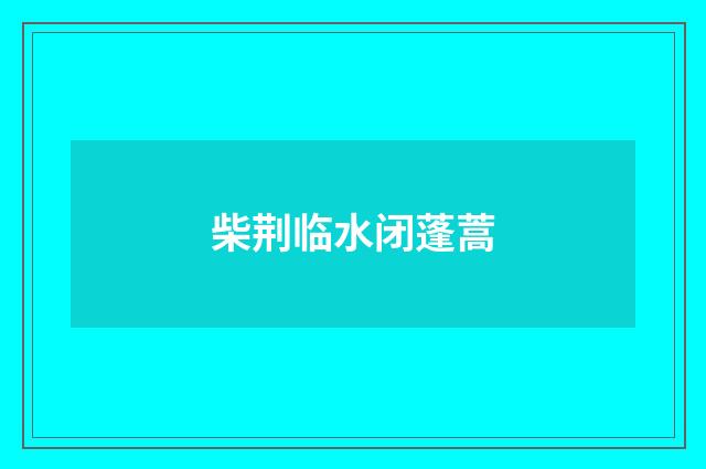 柴荆临水闭蓬蒿