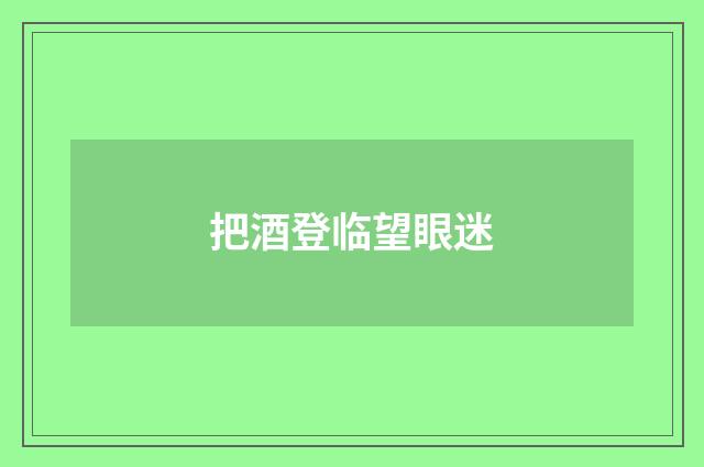 把酒登临望眼迷
