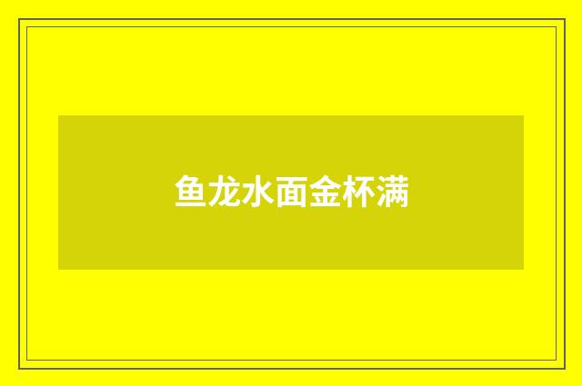 鱼龙水面金杯满