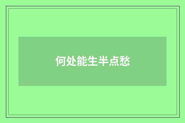 何处能生半点愁