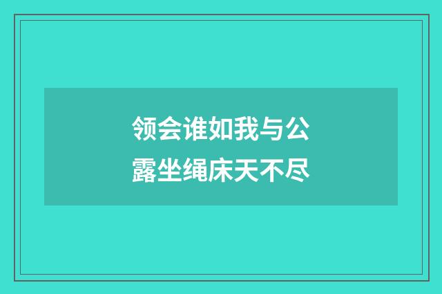 领会谁如我与公露坐绳床天不尽