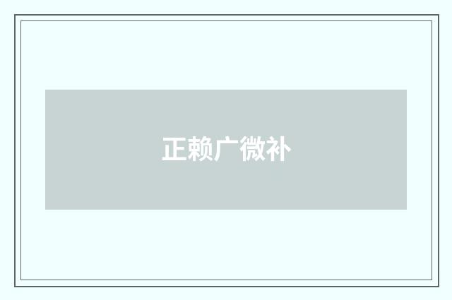 正赖广微补