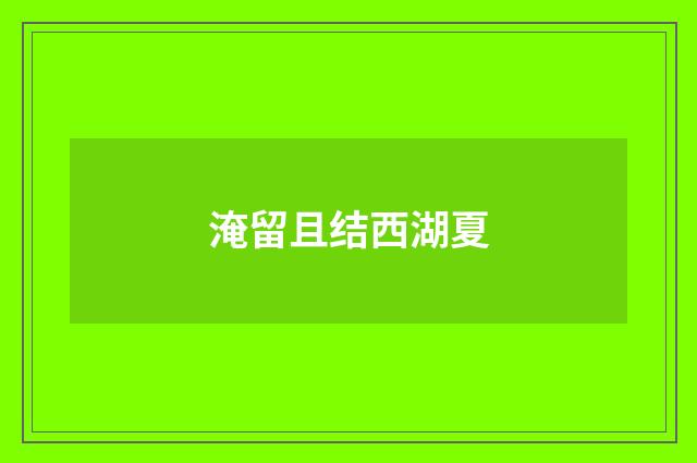 淹留且结西湖夏