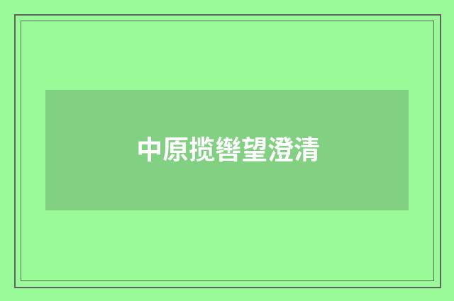 中原揽辔望澄清