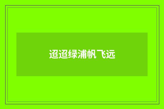 迢迢绿浦帆飞远