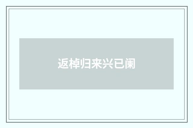 返棹归来兴已阑