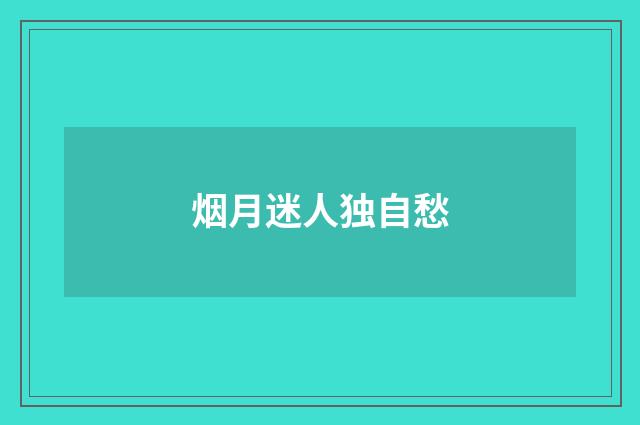 烟月迷人独自愁