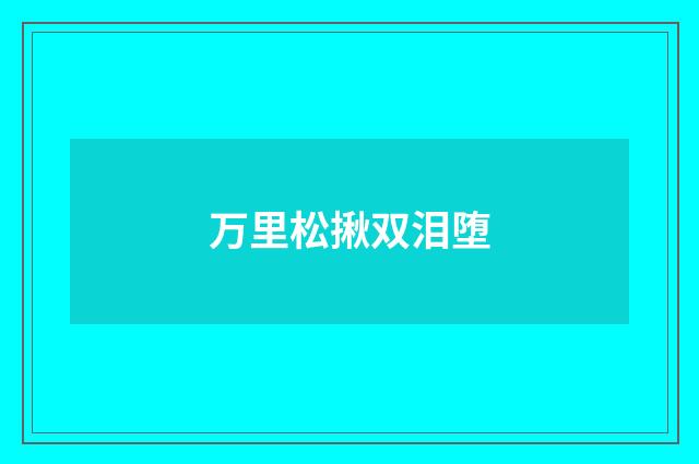 万里松揪双泪堕