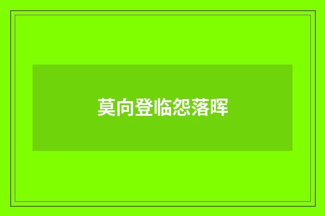 莫向登临怨落晖