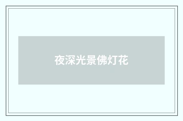 夜深光景佛灯花
