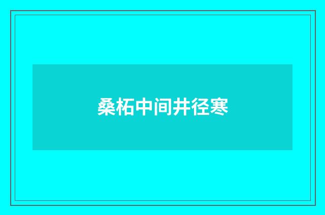桑柘中间井径寒
