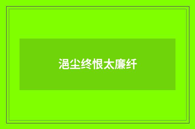 浥尘终恨太廉纤