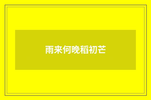 雨来何晚稻初芒