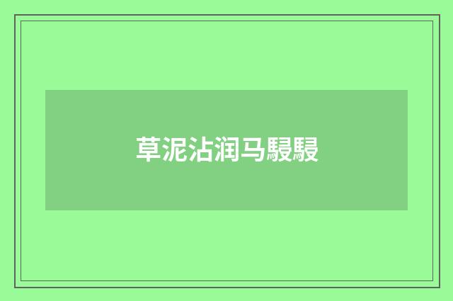 草泥沾润马駸駸