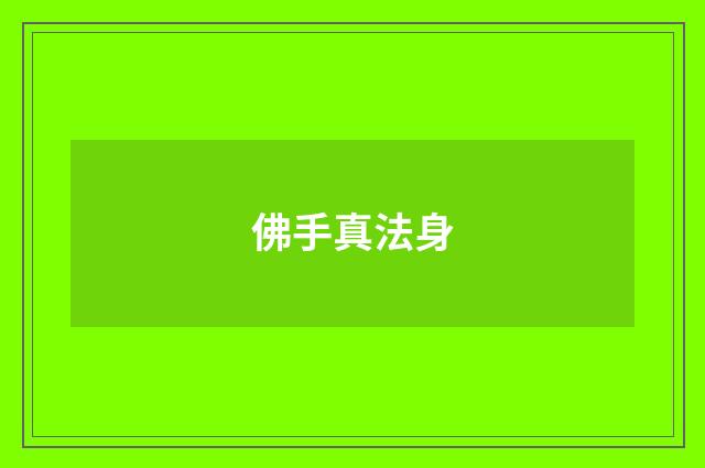 佛手真法身