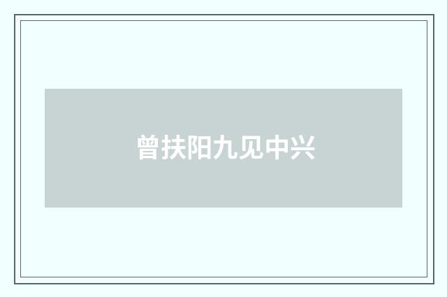 曾扶阳九见中兴