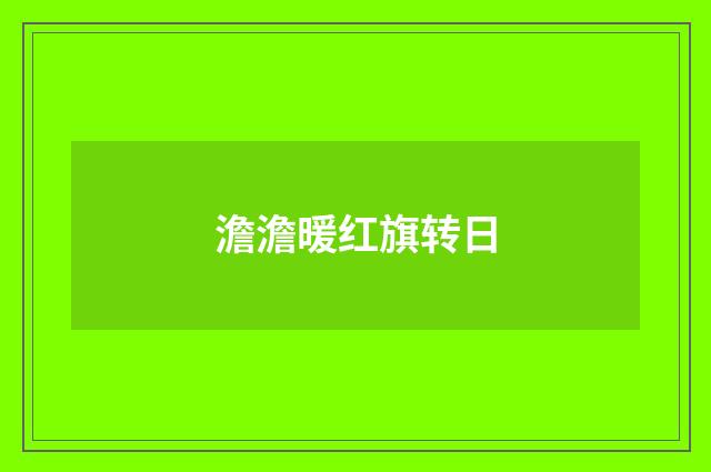 澹澹暖红旗转日