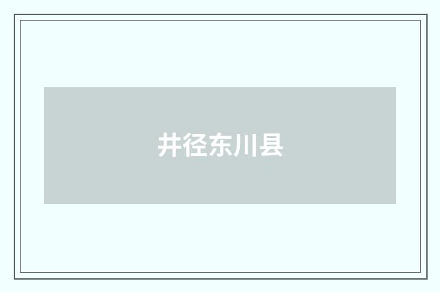 井径东川县