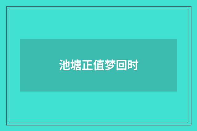 池塘正值梦回时
