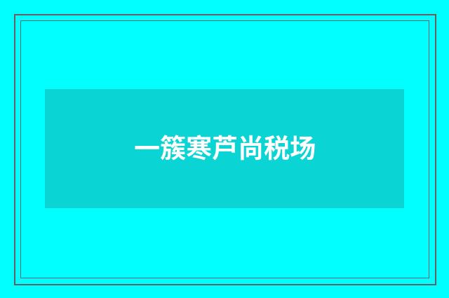 一簇寒芦尚税场