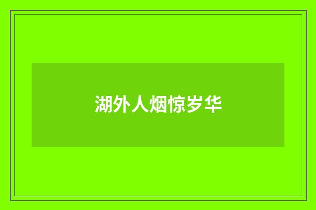 湖外人烟惊岁华