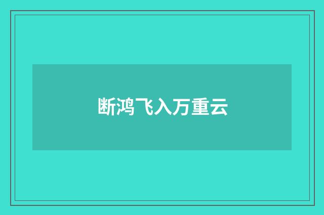 断鸿飞入万重云