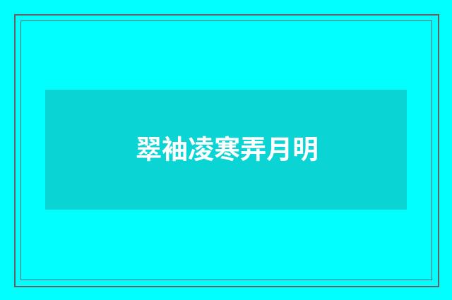 翠袖凌寒弄月明