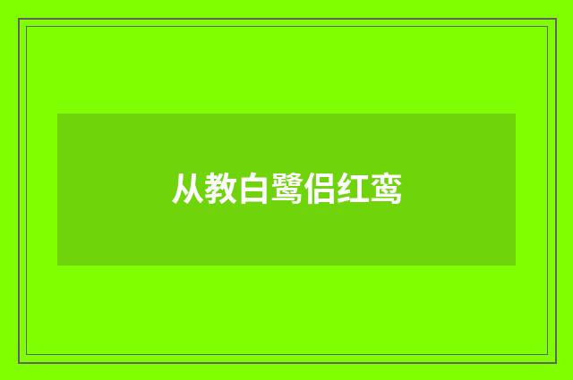 从教白鹭侣红鸾