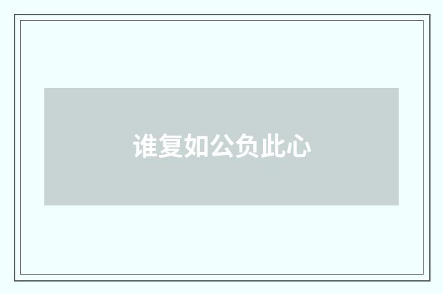 谁复如公负此心