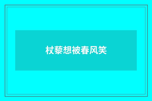 杖藜想被春风笑