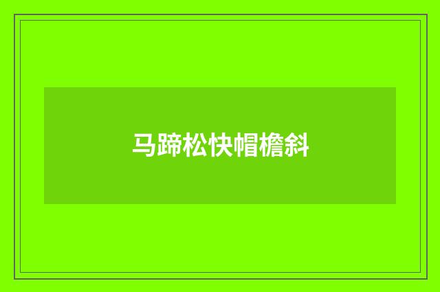 马蹄松快帽檐斜