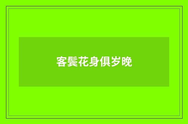 客鬓花身俱岁晚