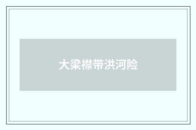 大梁襟带洪河险