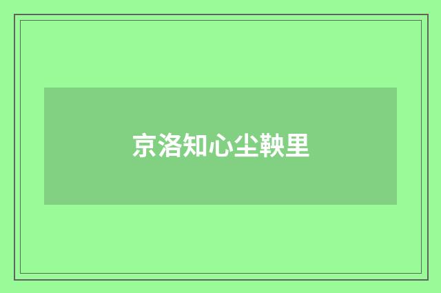 京洛知心尘鞅里