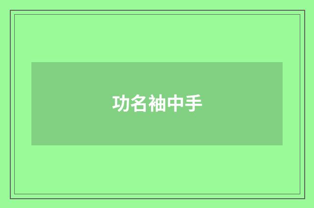 功名袖中手