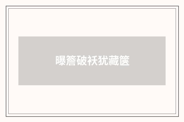 曝簷破袄犹藏箧