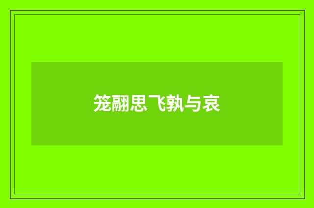 笼翮思飞孰与哀