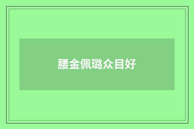 腰金佩璐众目好