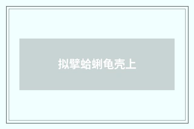 拟擘蛤蜊龟壳上