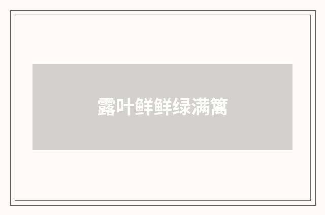 露叶鲜鲜绿满篱