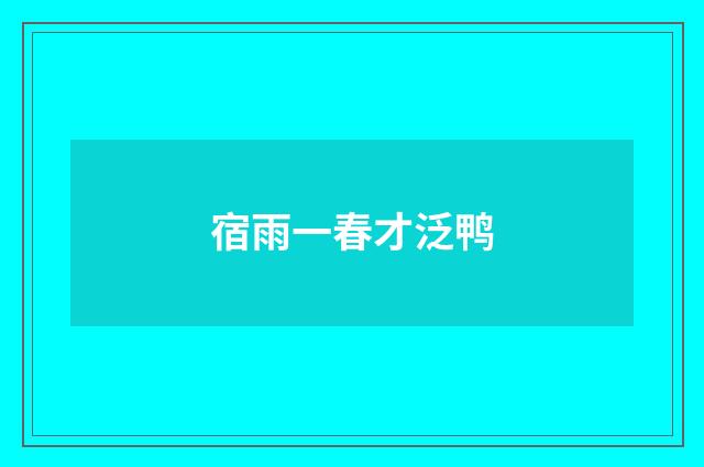 宿雨一春才泛鸭