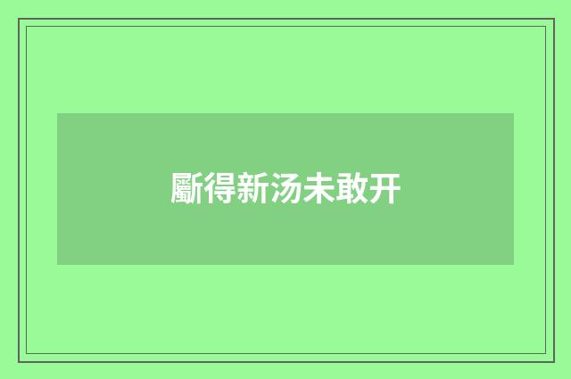 斸得新汤未敢开
