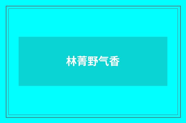 林菁野气香