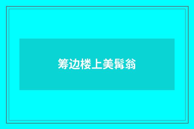 筹边楼上美髯翁