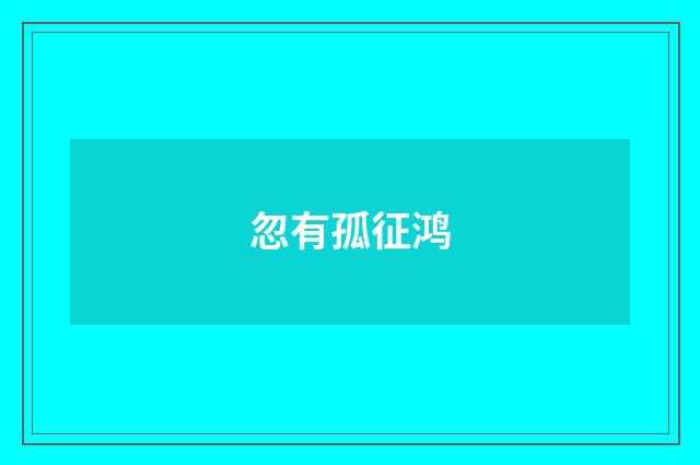 忽有孤征鸿