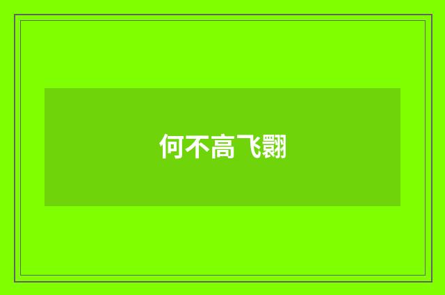 何不高飞翾