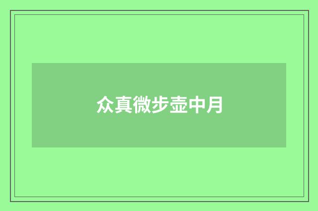 众真微步壶中月