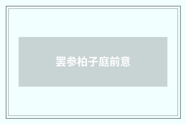 罢参柏子庭前意